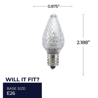 Specialty Light Bulb (770171)