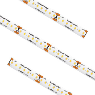 American Lighting - HTLHD-CW-16 - High Output Trulux - High Density Tape - White