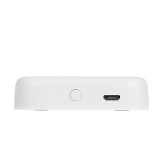 Spektrum Smart Gateway (SPKPL-GTWY-T-W)