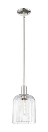 Innovations - 716-1S-PN-G559-8CL - One Light Mini Pendant - Arcadia - Polished Nickel