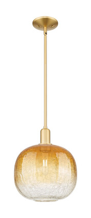 Innovations - 716-1S-SG-G481-10AM - One Light Mini Pendant - Arcadia - Satin Gold