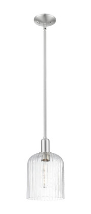 Innovations - 716-1S-SN-G559-8CL - One Light Pendant - Arcadia - Brushed Satin Nickel Innovations - 716-1S-SN-G559-8CL - One Light Pendant - Arcadia - Brushed Satin Nickel