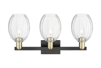 Arcadia Three Light Bath Vanity (716-3W-BAB-G459-6CL)