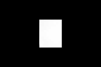 Westgate - SCX-8FT-80W-35K-D - Scx Superior Architectural Series - White