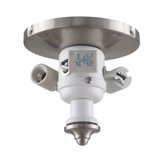 Fanimation - F1BN - Three Light Fitter - myFanimation - Brushed Nickel