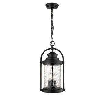 Millennium - 2544-PBK - Three Light Outdoor Hanging Lantern - Livingston - Powder Coated Black
