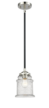manufacturer_finish:Black Polished Nickel|manufacturer_glass:Seedy Large Canton|light_output:600.00lm|color_temperature:2700K|cri:90