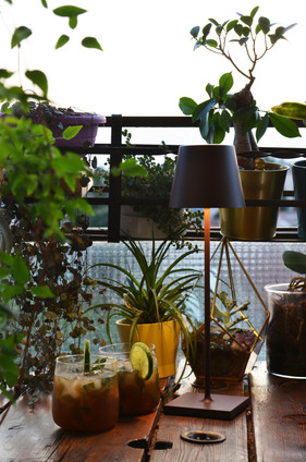 Poldina Pro LED Table Lamp (LD0340R4)