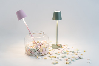 Poldina LED Table Lamp (LD0490Z3)