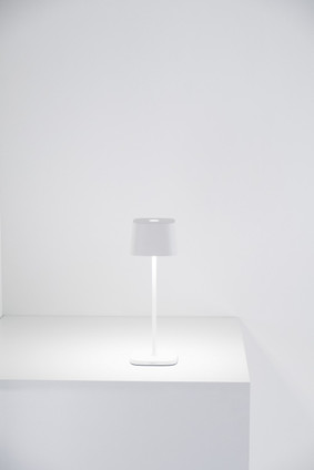 Ofelia LED Table Lamp (LD0870B4)