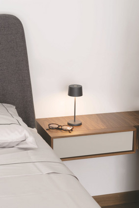 Olivia LED Table Lamp (LD1840N3)