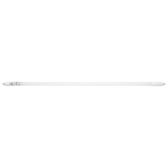 Light Bulb (S11655)