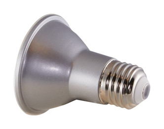Light Bulb (S29407)