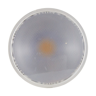 Light Bulb (S29445)