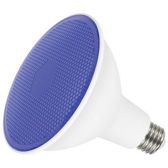 Light Bulb (S29482)