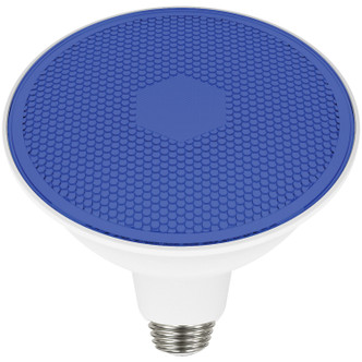 Light Bulb (S29482)