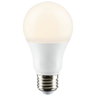 Light Bulb (S29832)