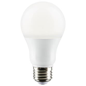 Light Bulb (S29834)