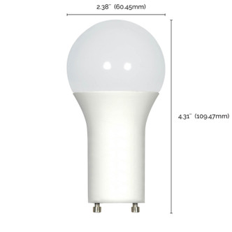 Light Bulb (S29842)
