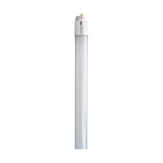 Light Bulb (S29918)