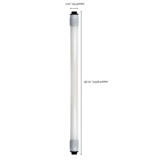 Light Bulb (S29924)