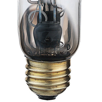 Light Bulb (S3127)