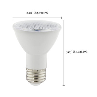 Light Bulb (S39188)