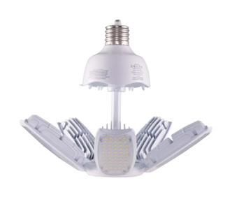 Light Bulb (S39679)