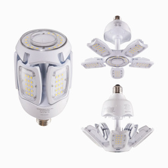 Light Bulb (S39768)