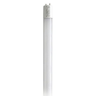 Light Bulb (S39902)