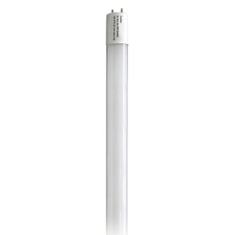 Light Bulb (S39905)