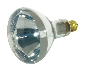 Light Bulb (S4366)