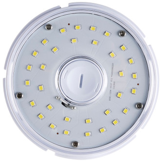 Light Bulb (S49397)