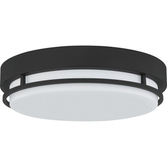 Hale LED Flush Mount (HAL1614EK)
