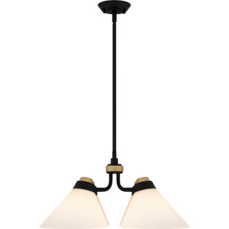 Quoizel Pendant Four Light Pendant (QP6218MBK)