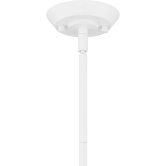 Quoizel Pendant Four Light Pendant (QP6218W)