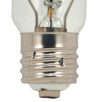 Light Bulb (S5829)