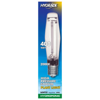 Light Bulb (S5903)