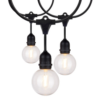 Satco - S8034 - LED String Light - Black
