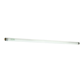 Light Bulb (S8139)