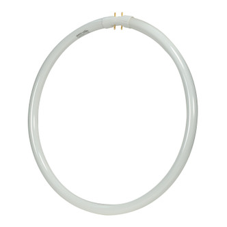 Light Bulb (S8158)