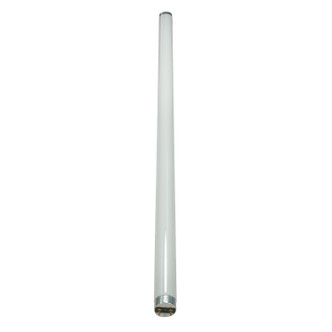 Light Bulb (S8411)