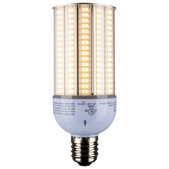 Light Bulb (S8908)