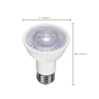 Light Bulb (S9388)