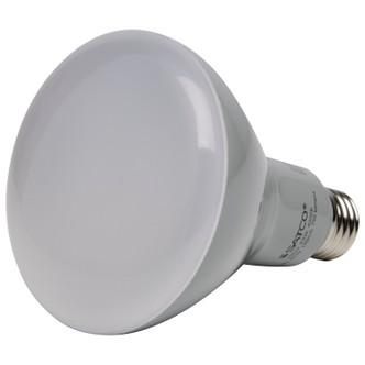 Light Bulb (S9621)