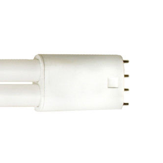 Light Bulb (S9951)