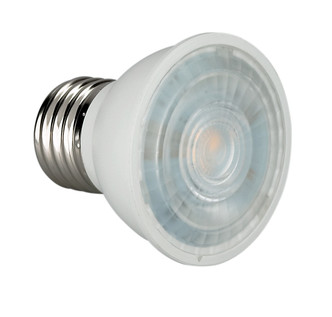 Light Bulb (S9981)