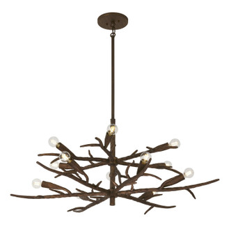 Palisades 12 Light Chandelier (1-5398-12-105)