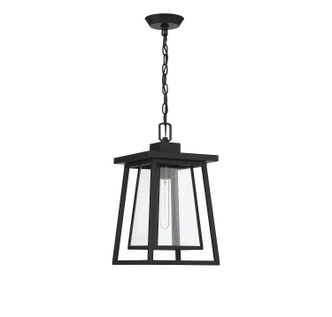 Denver One Light Outdoor Hanging Lantern (5-2025-BK) Denver One Light Outdoor Hanging Lantern (5-2025-BK)