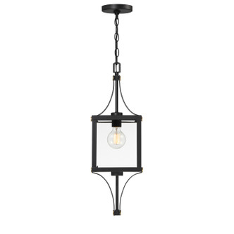 Raeburn One Light Outdoor Hanging Lantern (5-475-144)